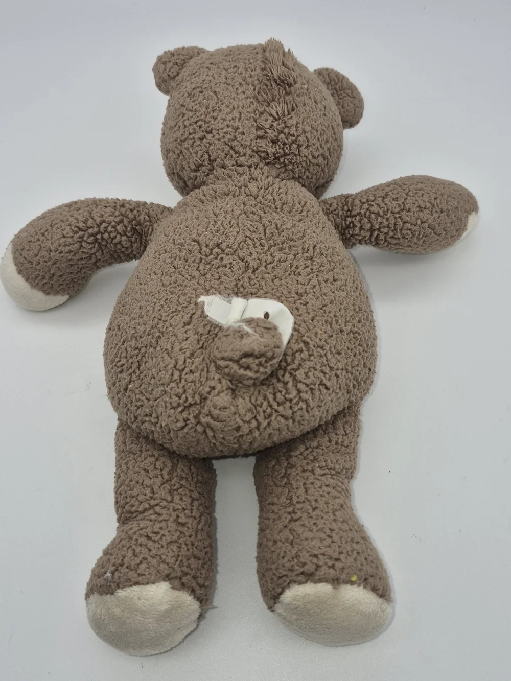 PBK Pottery Barn Plush Brown Teddy Bear with Cream Accents - Soft Cuddle Toy